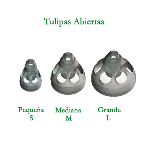 Tulipas-abiertas-Phonak
